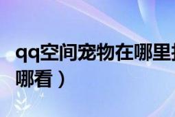 qq空间宠物在哪里找（QQ空间领养的宠物在哪看）