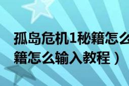 孤岛危机1秘籍怎么输入（孤岛危机之弹头秘籍怎么输入教程）