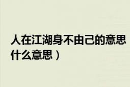 人在江湖身不由己的意思（人在江湖身不由己这句话到底是什么意思）