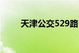 天津公交529路（天津公交529路）