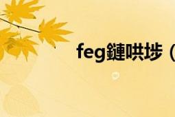 feg鏈哄埗（FEG管理体系）