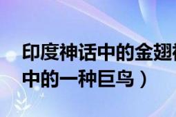 印度神话中的金翅神鸟是（迦楼罗 印度神话中的一种巨鸟）