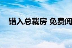 错入总裁房 免费阅读（总裁大人进错房）