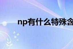 np有什么特殊含义（NP 其他含义）