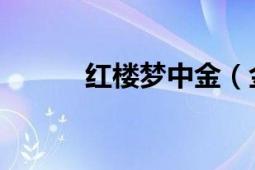 红楼梦中金（金彩 红楼梦人物）