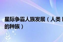 星际争霸人族发展（人类 即时战略游戏《星际争霸》系列中的种族）