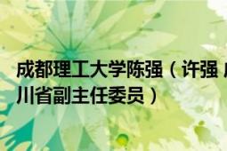 成都理工大学陈强（许强 成都理工大学副校长、九三学社四川省副主任委员）