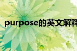 purpose的英文解释（purpose 英文单词）