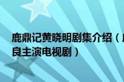 鹿鼎记黄晓明剧集介绍（鹿鼎记 2008年内地黄晓明、钟汉良主演电视剧）