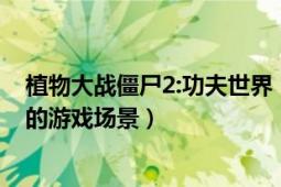 植物大战僵尸2:功夫世界（功夫世界 《植物大战僵尸2》中的游戏场景）