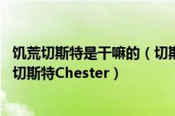 饥荒切斯特是干嘛的（切斯特 闪客开发的游戏《饥荒》中的切斯特Chester）