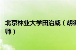 北京林业大学田治威（胡德夫 北京林业大学教授、博士生导师）