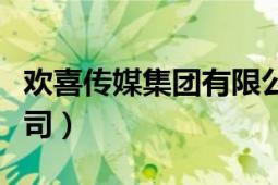 欢喜传媒集团有限公司（欢喜传媒集团有限公司）