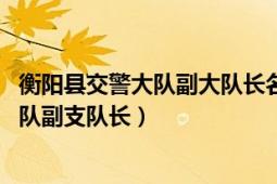 衡阳县交警大队副大队长名单（关小平 衡阳市公安局交警支队副支队长）