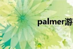 palmer游艇（palmer）