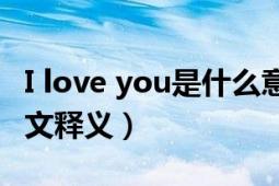 I love you是什么意思中文（I LOVE YOU 中文释义）