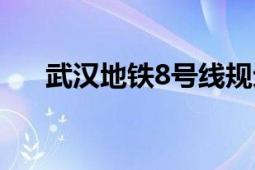 武汉地铁8号线规划（武汉地铁8号线）