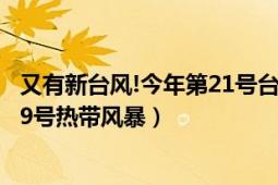 又有新台风!今年第21号台风飞燕生成（台风飞燕 2013年第9号热带风暴）