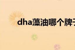 dha藻油哪个牌子最好（DHA藻油）