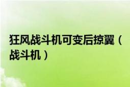 狂风战斗机可变后掠翼（“狂风”Tornado超音速变后掠翼战斗机）