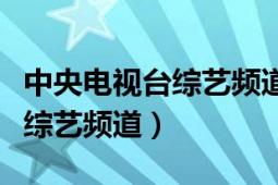 中央电视台综艺频道阮余群专访（中央电视台综艺频道）