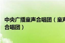 中央广播童声合唱团（童声合唱团 中国中央电视台银河少年合唱团）