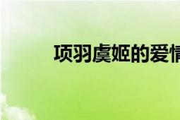 项羽虞姬的爱情故事（项羽虞姬）