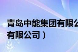 青岛中能集团有限公司怎么样（青岛中能集团有限公司）