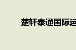 楚轩泰通国际运输有限公司董事长