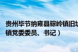 贵州毕节纳雍县骔岭镇旧址（李践 贵州省毕节市纳雍县骔岭镇党委委员、书记）