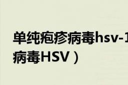 单纯疱疹病毒hsv-1阳性能怀孕吗（单纯疱疹病毒HSV）