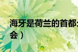 海牙是荷兰的首都么（海牙 荷兰南荷兰省省会）