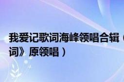 我爱记歌词海峰领唱合辑（刘海峰 音乐制作人、《我爱记歌词》原领唱）