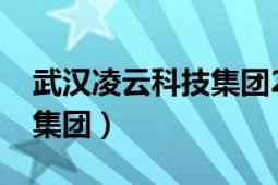 武汉凌云科技集团2022招聘（武汉凌云科技集团）