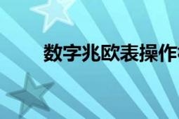 数字兆欧表操作视频（数字兆欧表）