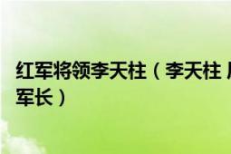 红军将领李天柱（李天柱 原中共湘赣省委军委书记、红八军军长）