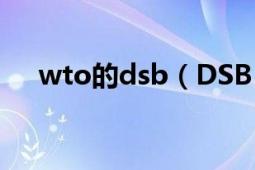 wto的dsb（DSB WTO争端解决实体）