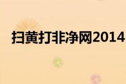 扫黄打非净网2014（扫黄打非净网2014）