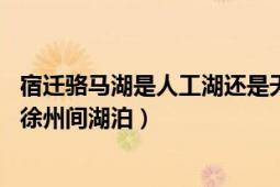 宿迁骆马湖是人工湖还是天然湖（骆马湖 江苏省北部宿迁和徐州间湖泊）