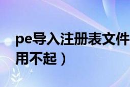 pe导入注册表文件（pes2009注册表导入器用不起）