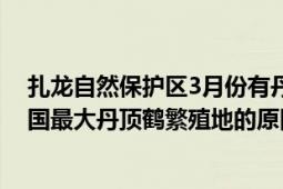 扎龙自然保护区3月份有丹顶鹤吗（扎龙自然保护区成为我国最大丹顶鹤繁殖地的原因是什么）