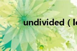 undivided（love的完整歌词~）