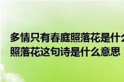 多情只有春庭照落花是什么意思（多情只有春庭月犹为离人照落花这句诗是什么意思）