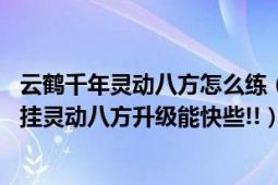 云鹤千年灵动八方怎么练（千年私服云鹤千年中,请问怎么样挂灵动八方升级能快些!!）