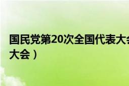 国民党第20次全国代表大会（中国国民党第十八次全国代表大会）