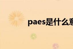 paes是什么意思（PAE 树脂）