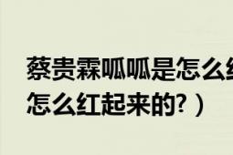 蔡贵霖呱呱是怎么红起来的?（蔡贵霖呱呱是怎么红起来的?）