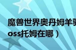 魔兽世界奥丹姆羊驼在哪里（魔兽7.15世界boss托姆在哪）