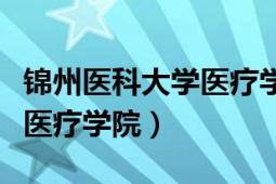 锦州医科大学医疗学院是几本（锦州医科大学医疗学院）