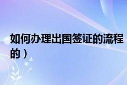 如何办理出国签证的流程（一般办理出国签证的流程是怎样的）